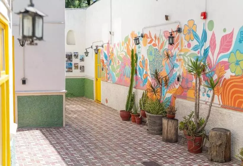 Fotos del hotel Selina Arequipa:  23