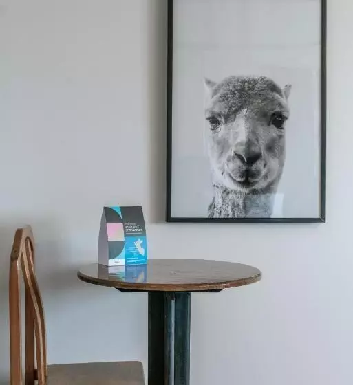 Fotos del hotel Selina Arequipa:  22