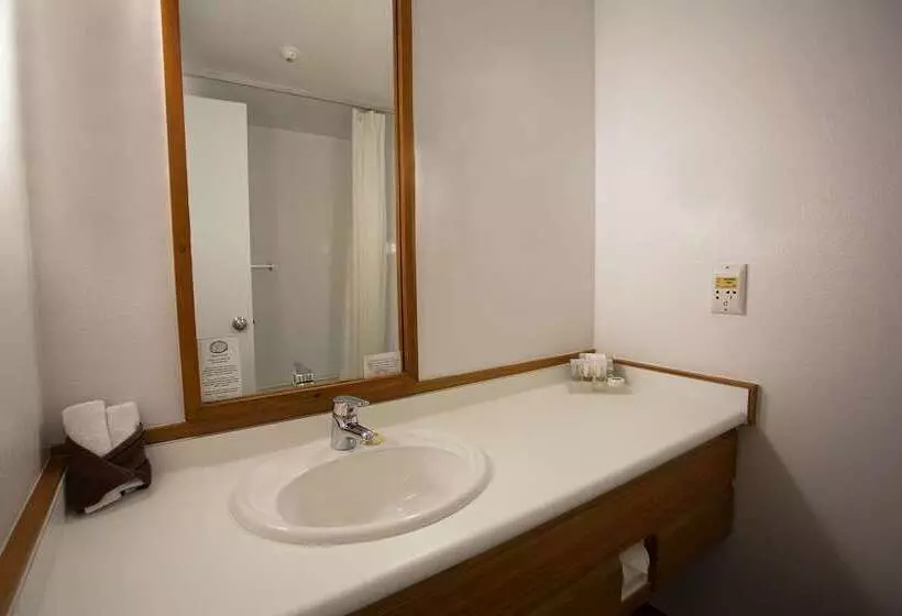 Fotos del hotel The Hotel Nelson:  7