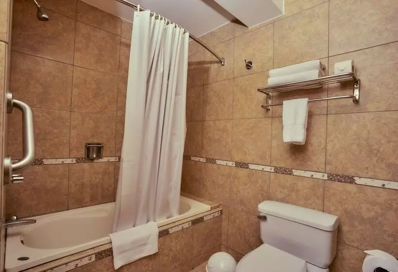 Fotos del hotel Victoria Regia:  13