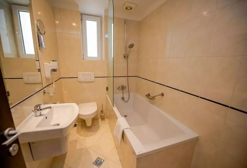 Fotos del hotel Ambasador:  7