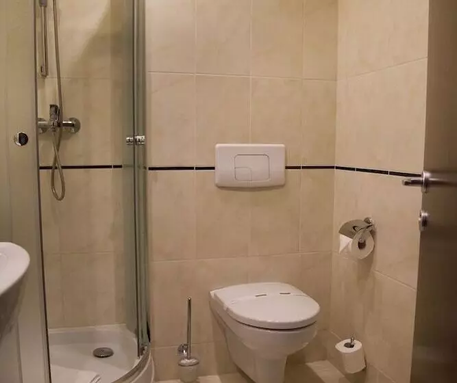 Fotos del hotel Ambasador:  15