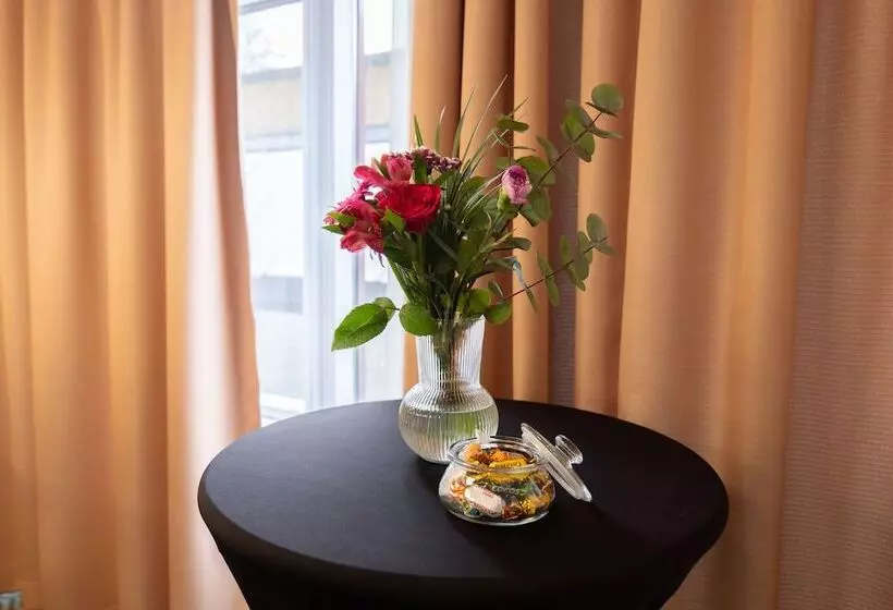 Fotos del hotel Good Morning+ Malmö:  14