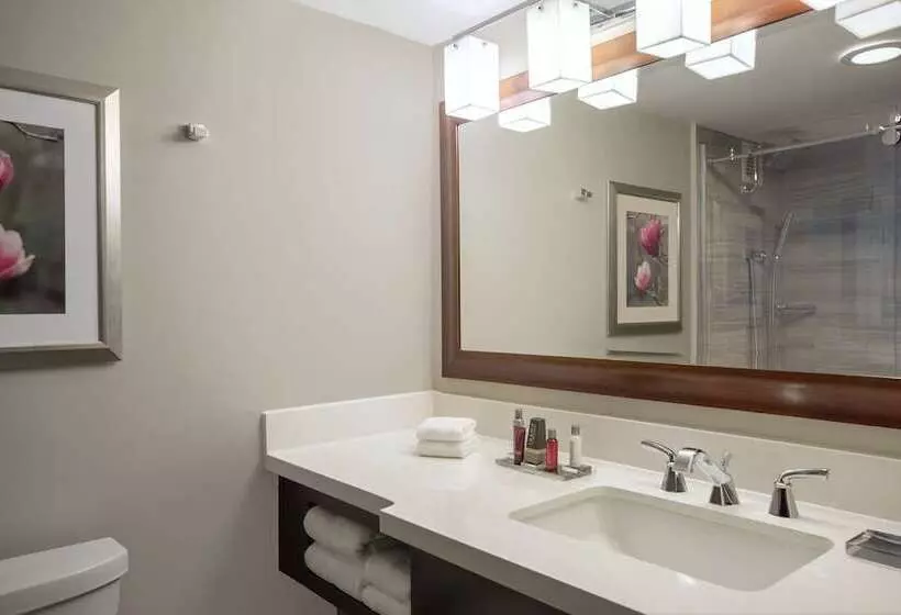 Fotos del hotel Atlanta Marriott Perimeter Center:  21