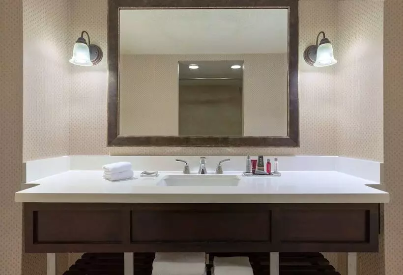 Fotos del hotel Atlanta Marriott Perimeter Center:  23