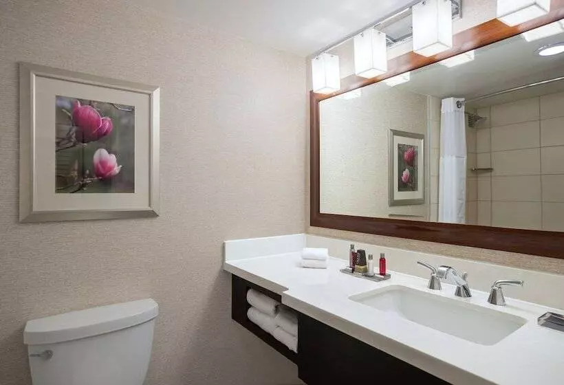 Fotos del hotel Atlanta Marriott Perimeter Center:  8