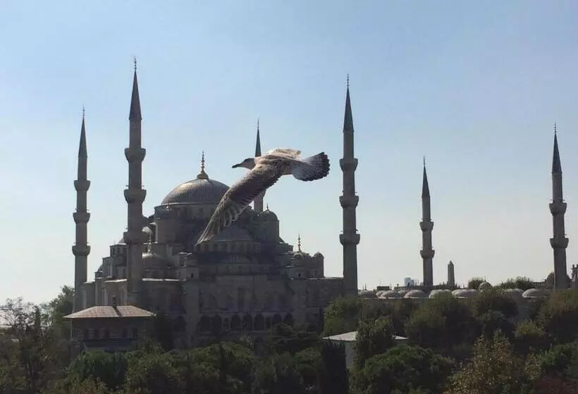 Fotos del hotel Kalyon Hotel Istanbul:  13