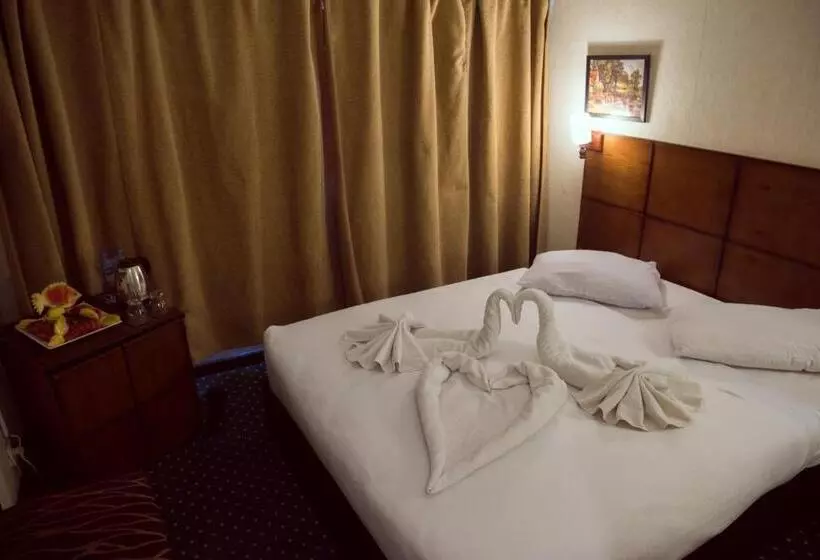 Fotos del hotel Salma Hotel Cairo:  16