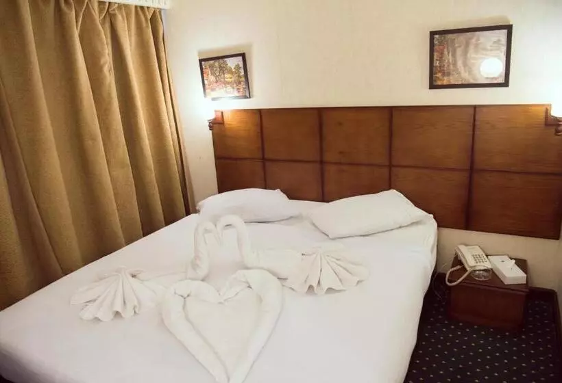 Fotos del hotel Salma Hotel Cairo:  18