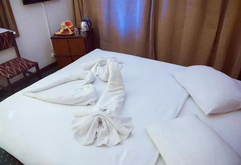 Fotos del hotel Salma Hotel Cairo:  9