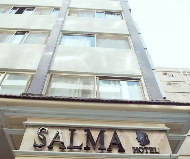 Fotos del hotel Salma Hotel Cairo:  8