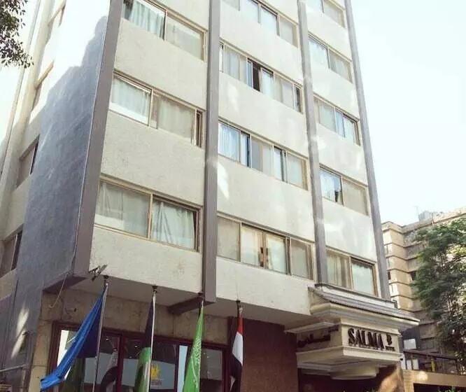 Fotos del hotel Salma Hotel Cairo:  11