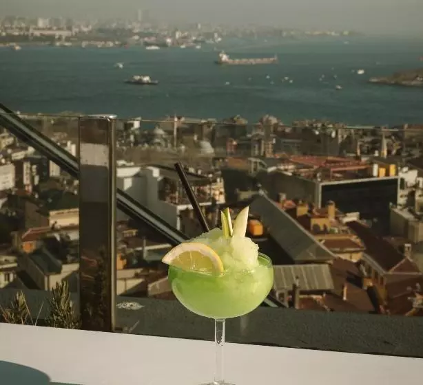 Fotos del hotel The Marmara Pera:  13