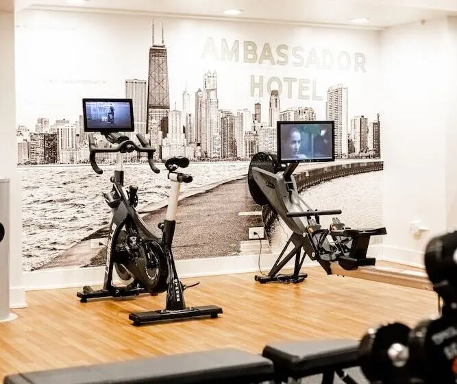Fotos del hotel Ambassador Chicago, Part Of Jdv By Hyatt:  7