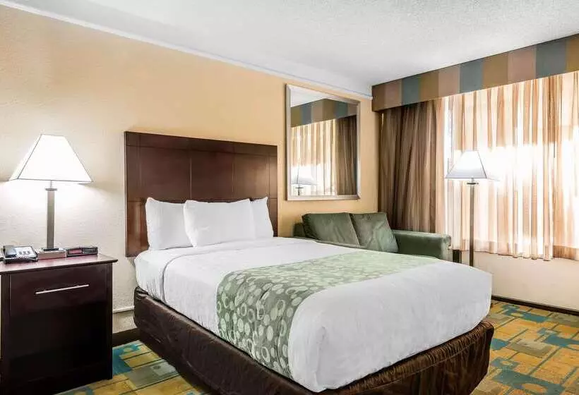 Fotos del hotel Quality Inn At International Drive Orlando:  19