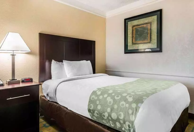 Fotos del hotel Quality Inn At International Drive Orlando:  20