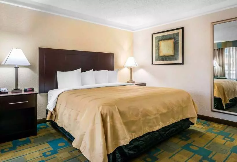 Fotos del hotel Quality Inn At International Drive Orlando:  13