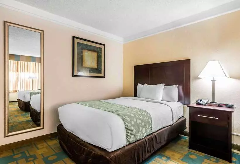 Fotos del hotel Quality Inn At International Drive Orlando:  14