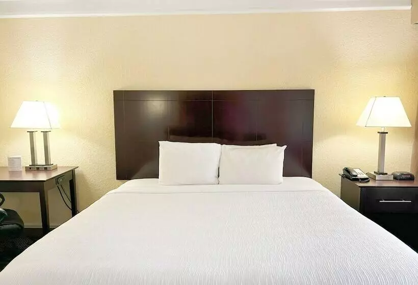 Fotos del hotel Quality Inn At International Drive Orlando:  10