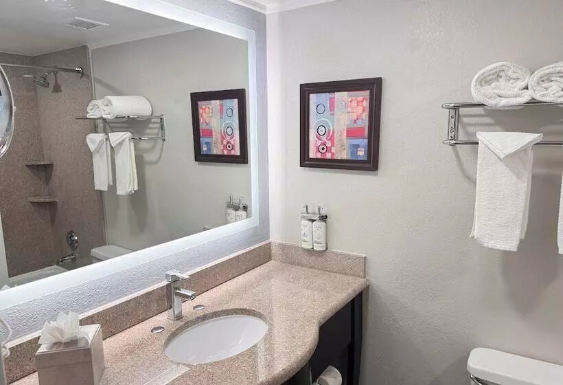 Fotos del hotel Holiday Inn Orlando East-ucf Area, An Ihg:  8