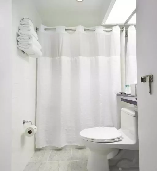 Fotos del hotel The Shoreham:  7