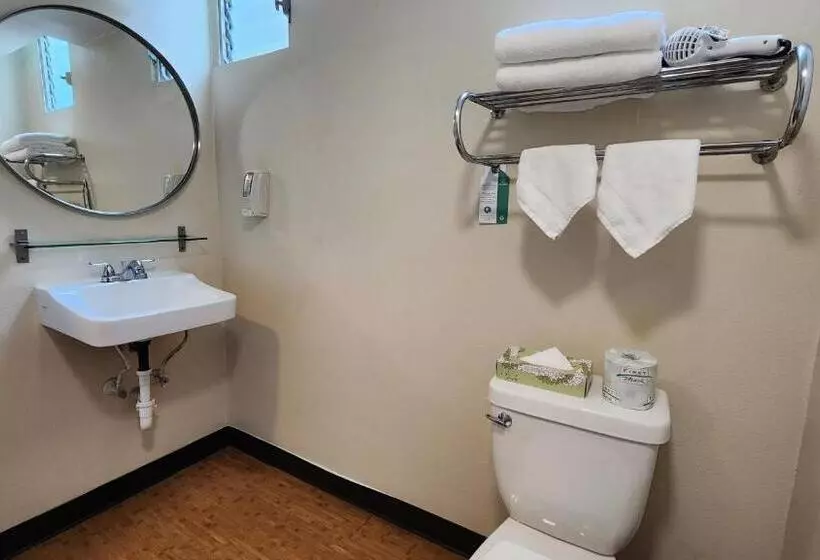 Fotos del hotel Stay Hotel Waikiki:  13