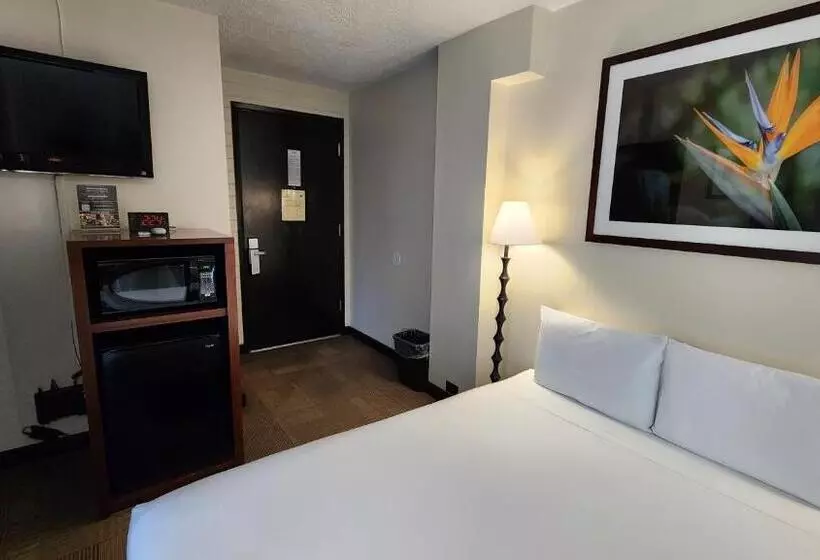 Fotos del hotel Stay Hotel Waikiki:  22