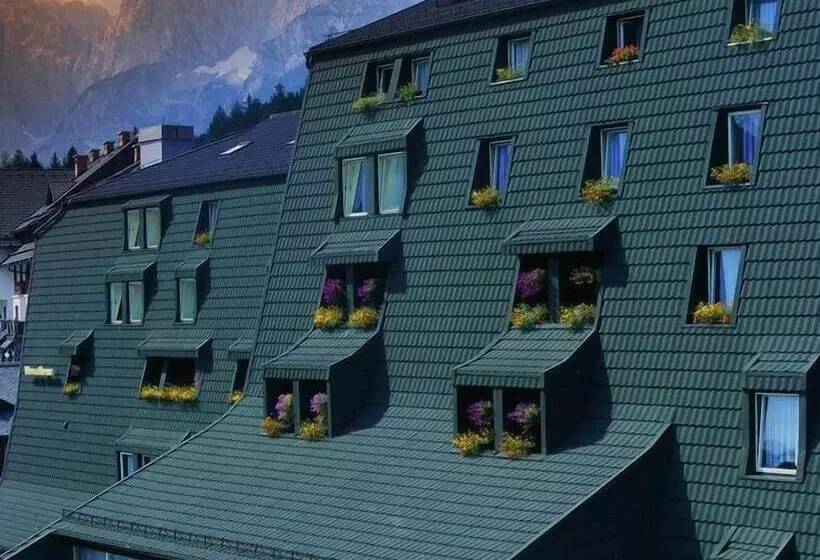 Fotos del hotel Alpina:  24