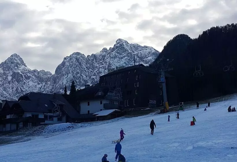 Fotos del hotel Alpina:  17