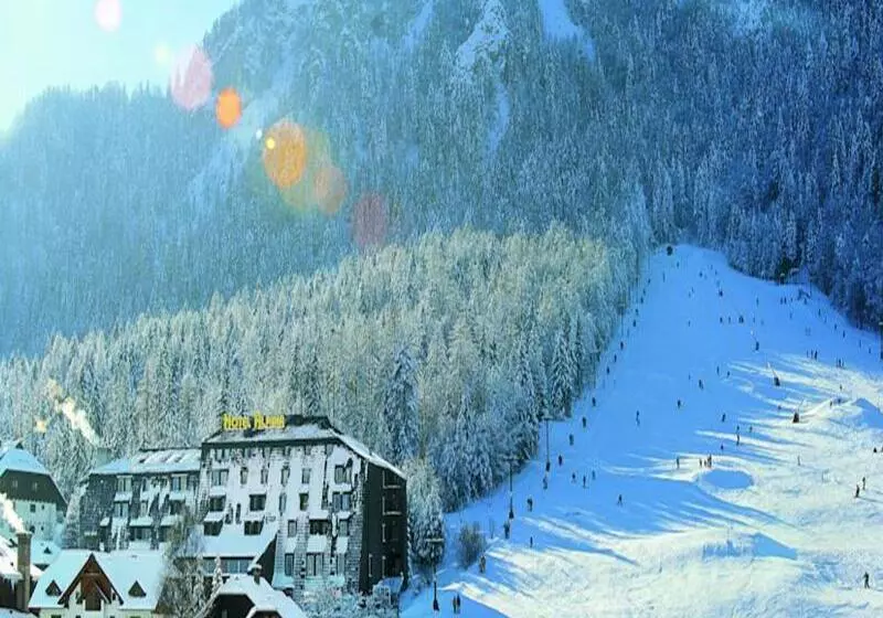 Fotos del hotel Alpina:  7