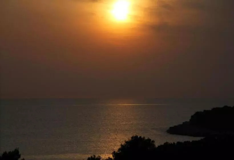 Fotos del hotel Pula:  13