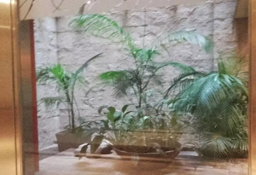 Fotos del hotel Lafayette:  11