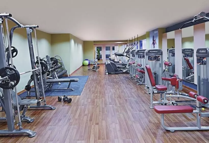 Fotos del hotel Millennium Hotel Sirih Jakarta:  13