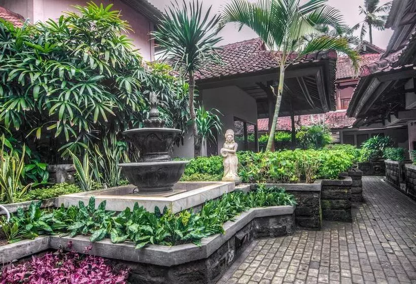 Fotos del hotel Bounty:  13