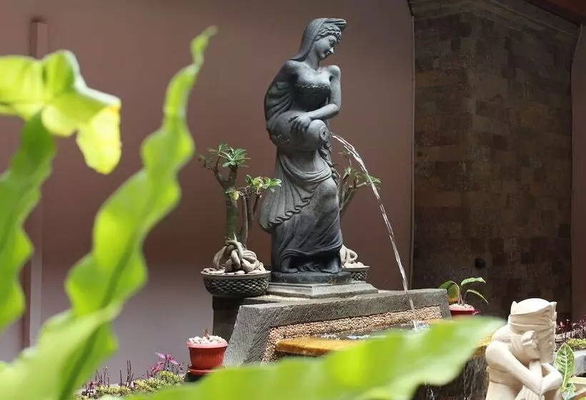 Fotos del hotel Bounty:  22