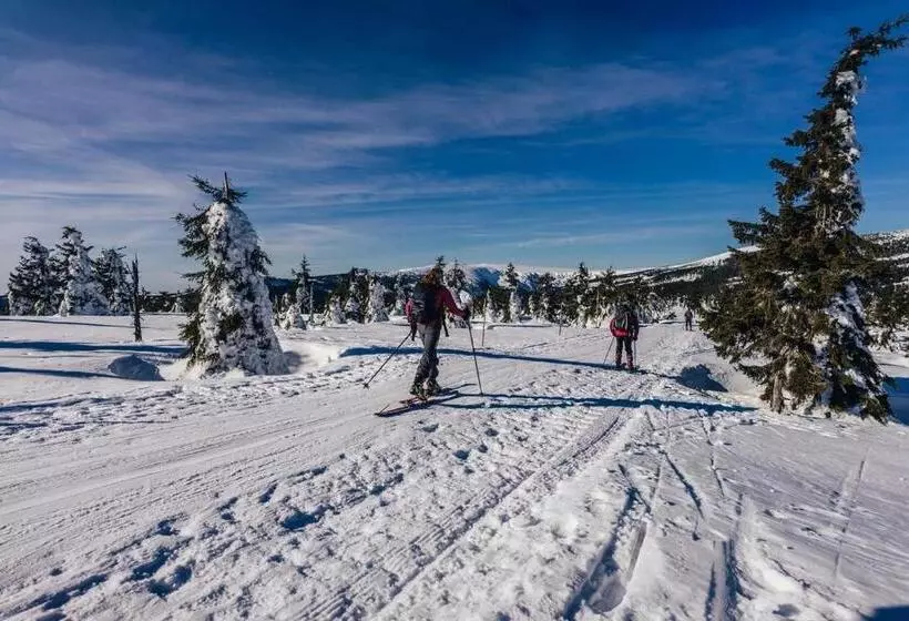 Fotos del hotel Fit & Fun:  14