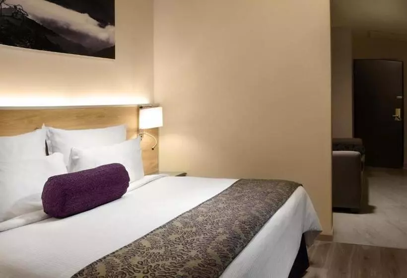 Fotos del hotel Krystal Monterrey:  9