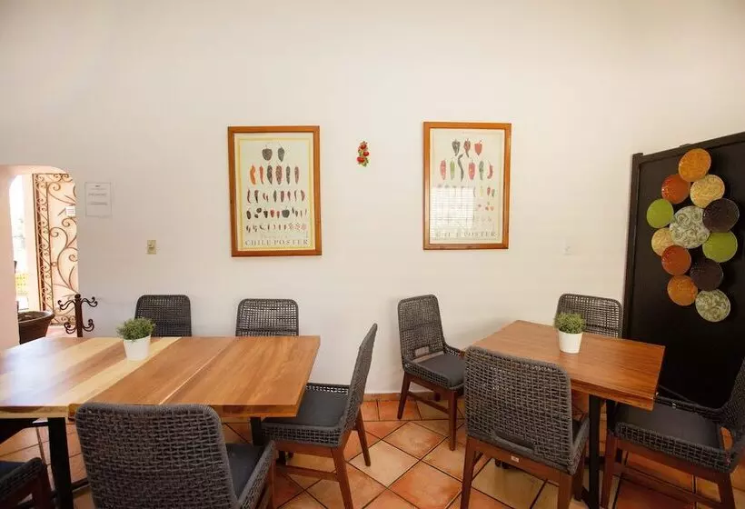 Fotos del hotel Posada Terranova:  17