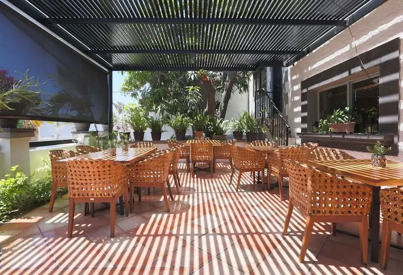 Fotos del hotel Posada Terranova:  7