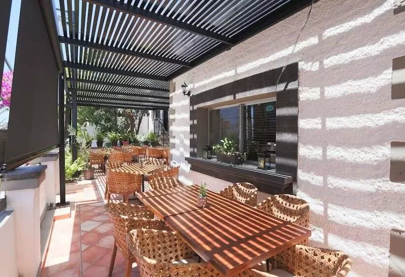 Fotos del hotel Posada Terranova:  21