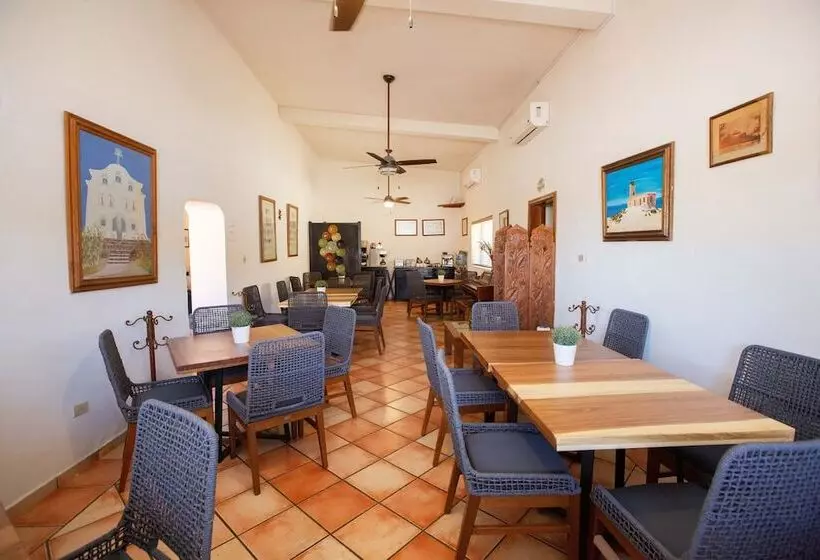 Fotos del hotel Posada Terranova:  20