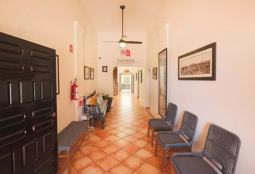 Fotos del hotel Posada Terranova:  3