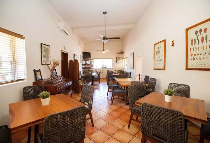 Fotos del hotel Posada Terranova:  19