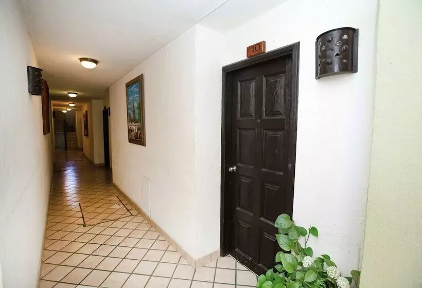 Fotos del hotel Posada Terranova:  11