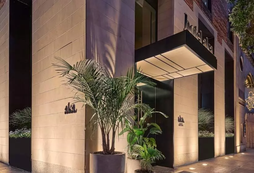 Fotos del hotel The Roger:  8