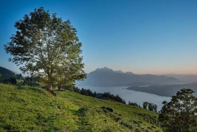 Fotos del hotel Central Luzern:  9