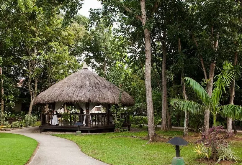 Fotos del hotel Cebu White Sands Resort And Spa:  8
