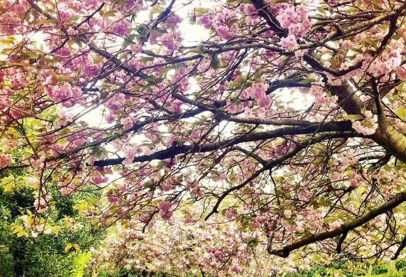 Fotos del hotel Mespil:  25