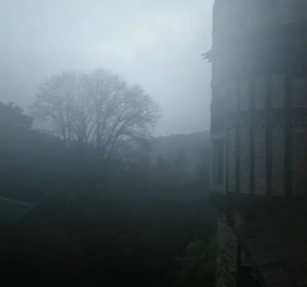 Fotos del hotel Thorngrove Manor:  4