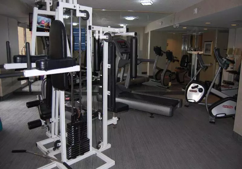 Fotos del hotel Holiday Inn Montréal Centreville Downtown, An Ihg:  4